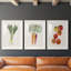 Organic Veg II - ensemble de 3 reproductions de cadres photo-974140462-974140468