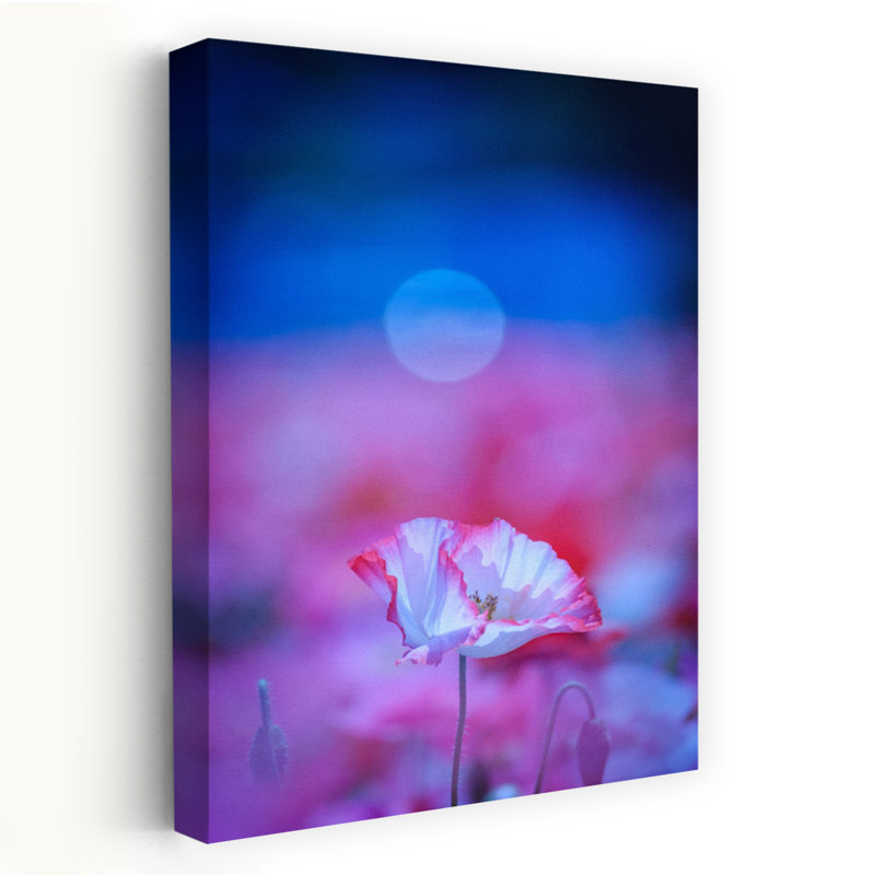 «Dreamy Poppy Moon», impression délicate de fleur de coquelicot éthéré nature, 24" H x 16" W
