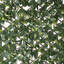 Madchen 200cm H x 100cm W Vinyl Expanding Trellis