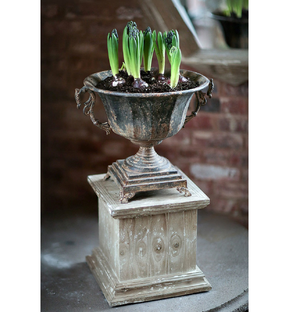 Coeburn Metal Decorative Urns & Jars Ophelia & Co.