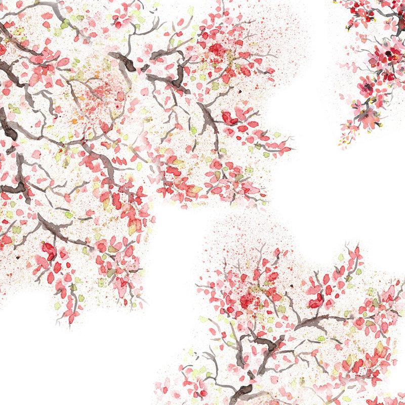 Camerone 2.5m x 2.5m Matte Mural, 208 x 146cm