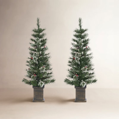 Potted 4' Pre-Lit Spruce Tree