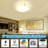 Fateema Acrylic LED Flush Mount-78474551