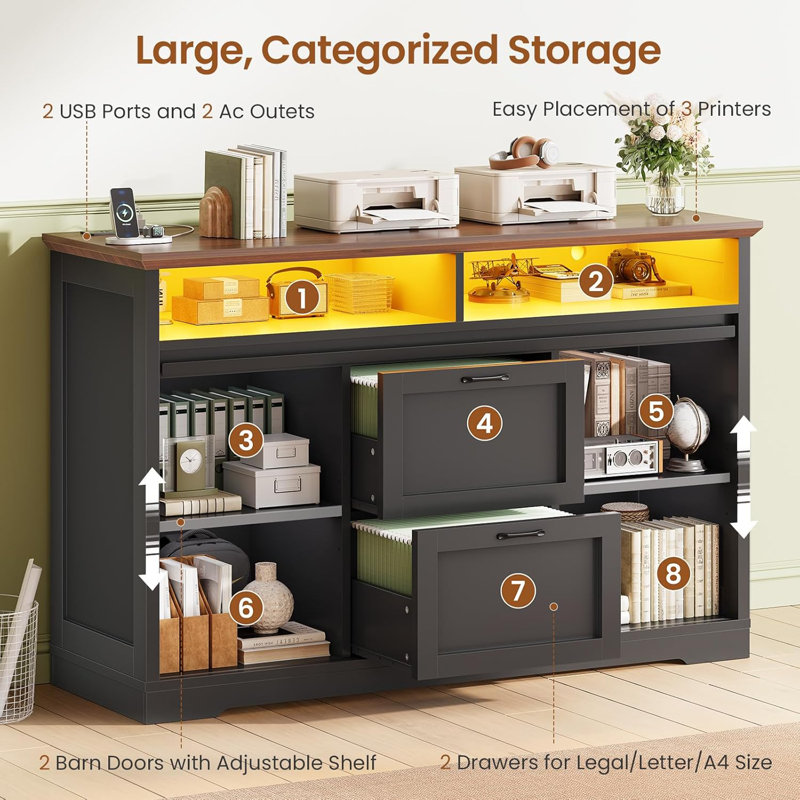 47.2'' W 2 -drawer File Cabinet Farmhouse Filing Cabinets with Barn Door & Power Outlets, Black