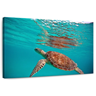 Tortue de mer flottante Brampt