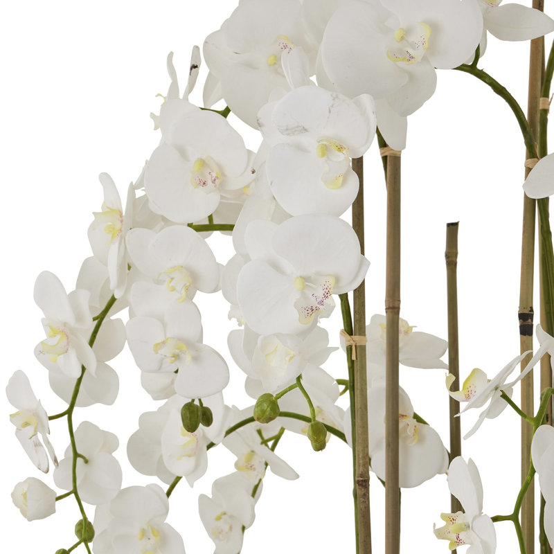 Arrangement