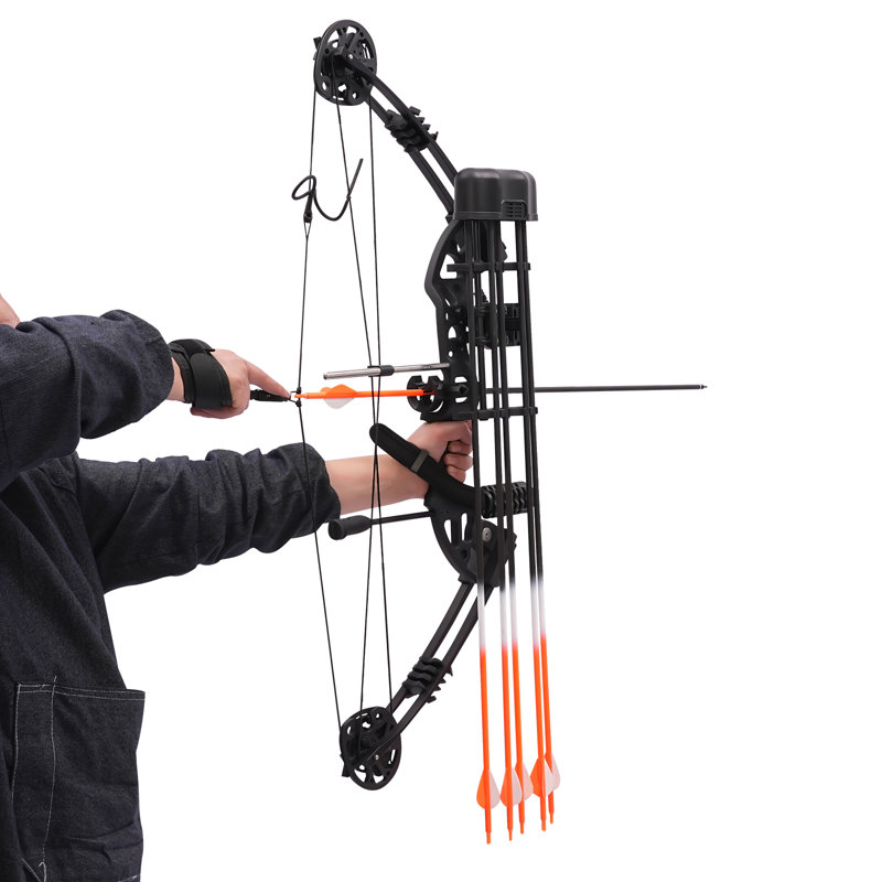 OUKANING Compound Bow Kit with 12 Arrows and Carrying Bag