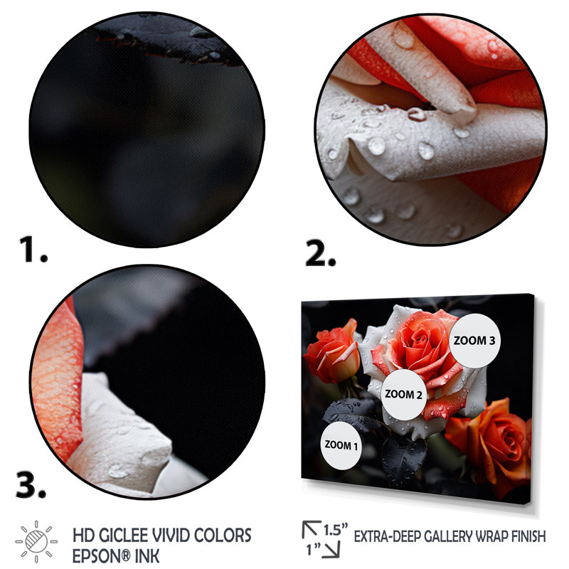 Atyia pêche roses corail sérénade - impression, Toile tendue, H 12 po x l 20 po