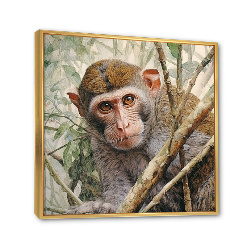 Wild Monkey IV sur toile, H 24 po x l 24 po x P 1 po, Cadre flottant doré