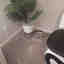 Customer photo 2 of 3