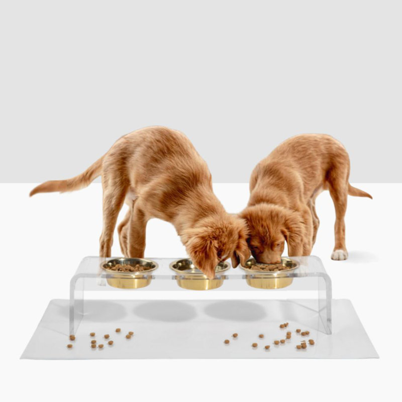 Bol à nourriture moyen pour chien avec bols dorés, 3,5 tasses