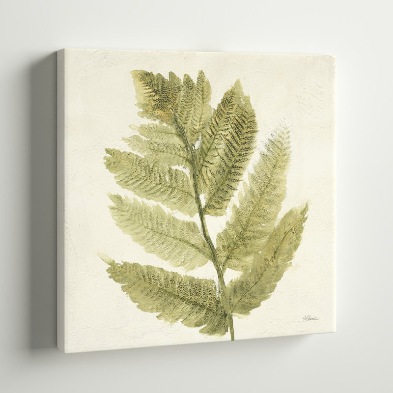 «Forest Ferns I» par Albena Hristova, reproduction d'art sur toile tendue, H 12 po x l 12 po