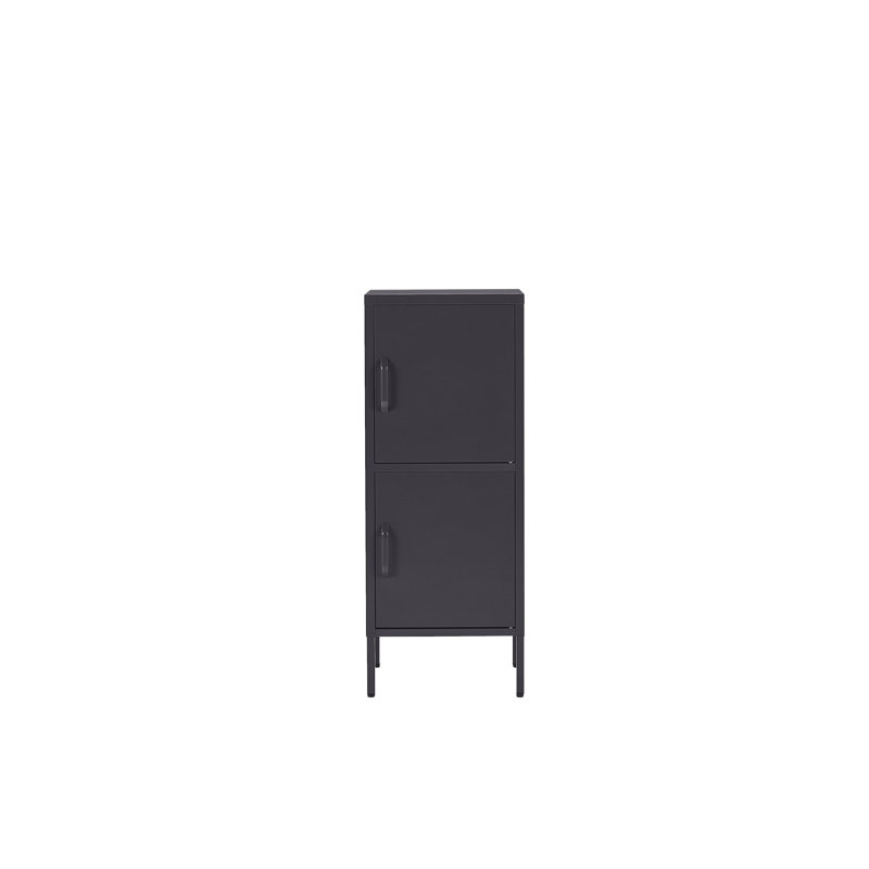 Mooresburg 2 -Door 4 -Shelf, Black