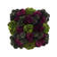 Assorted Sedum in Fiberstone Pot