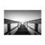 Art sur toile «bolologien» par Christophe Colomb-105649057