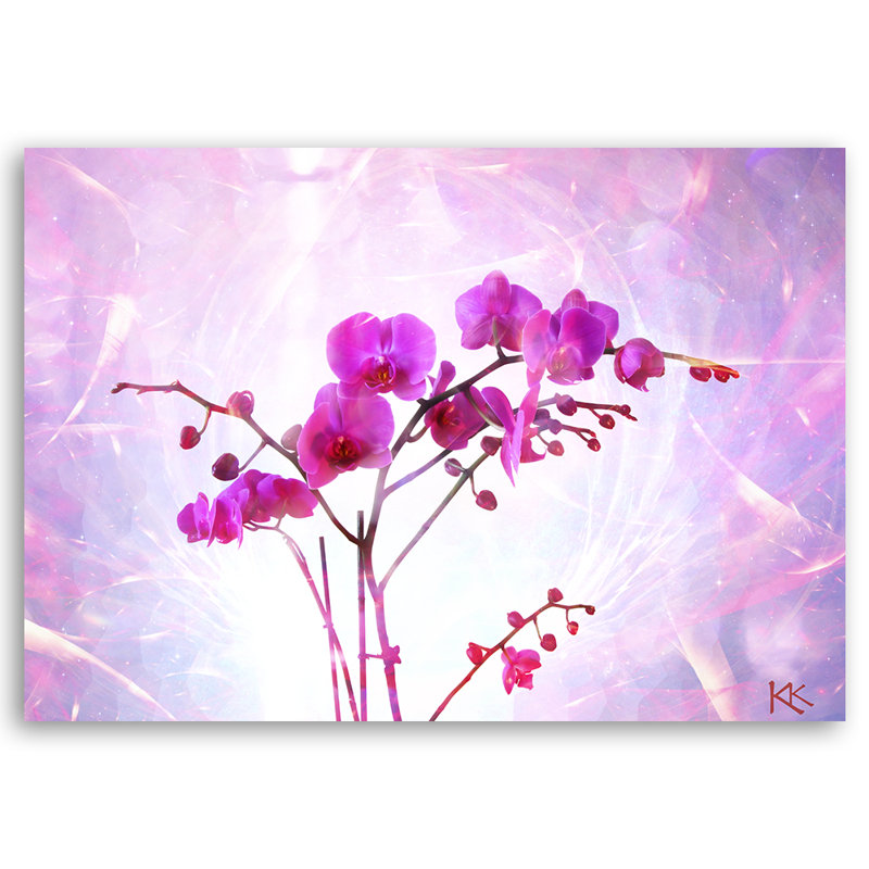 Picture, Orchid Flowers Zen Spa - No Frame Print on Canvas