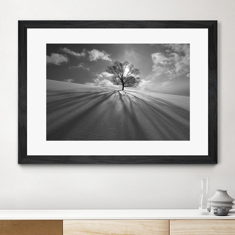 «Tree Shadow» mat et encadré 24 po x 36 po, Noir, H 24 po x l 36 po x P 1 po
