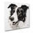 Border Collie Drawing - No Frame Print-1231469336
