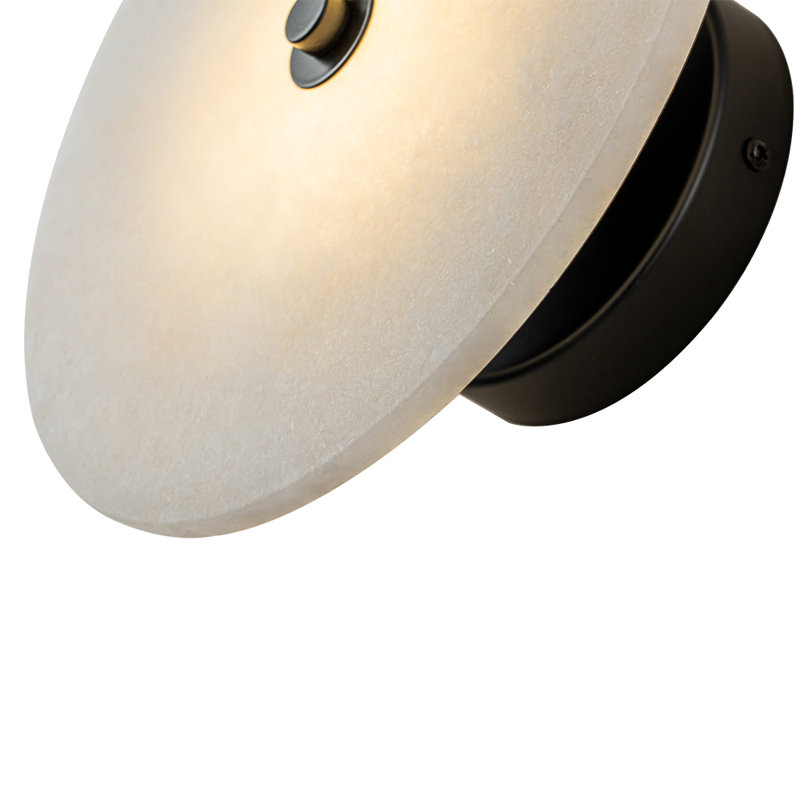 Biborka 1-Light LED Black Flush Mounted Sconce Wall Light
