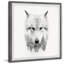 Loup blanc - photographie avec cadre photo-287775279
