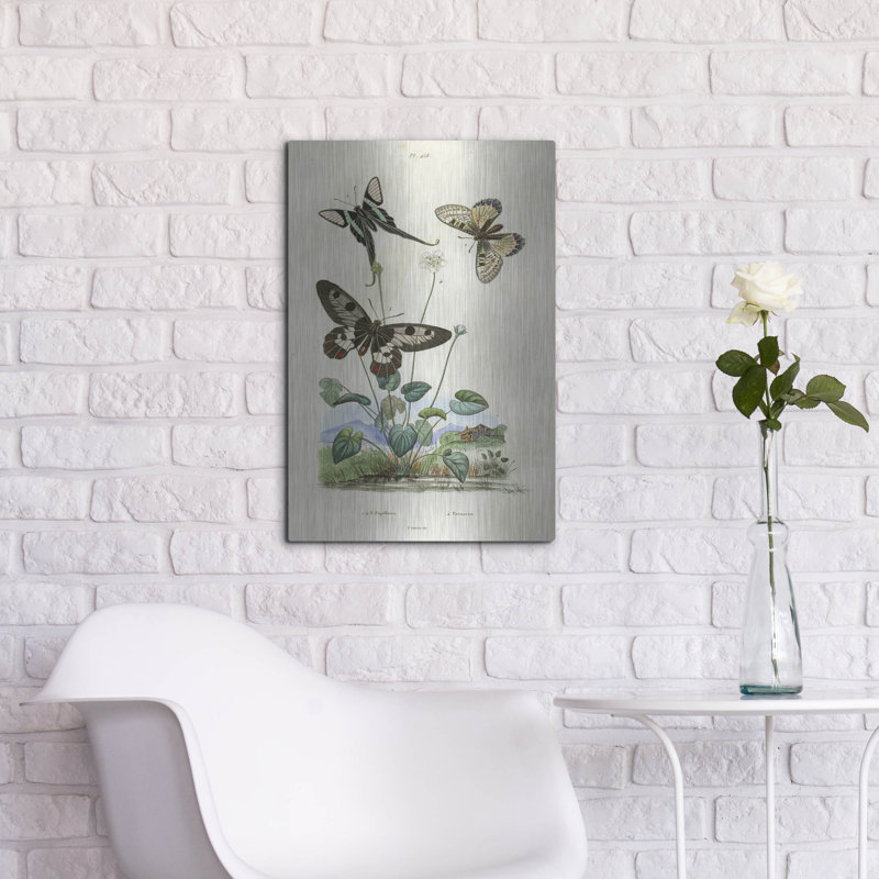 «Papillons - Parnassie» par August Licensing Studio