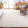 Davyan Hand Tufted Wool Ikat Rug