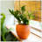 Delcina Smart Self-watering Round Planter Pot for Indoor and Outdoor - Terracotta Painted-789034685