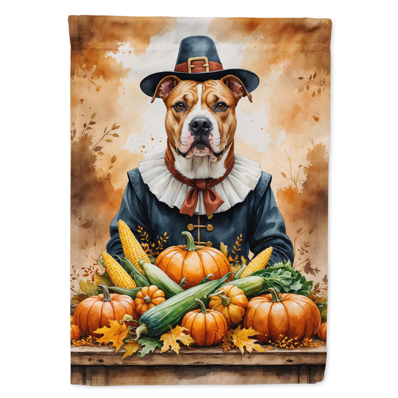 Drapeau de l'Action de grâce, Pit Bull Terrier