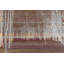 Parvez Taj - Wrapped Canvas Print-12309463