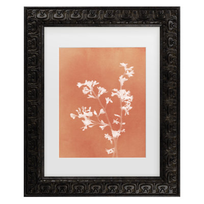 «Amini54», monographie de fleurs orange emmêlées