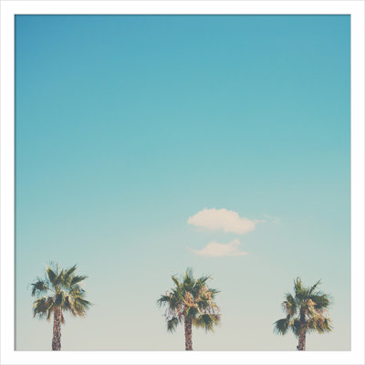 A Trio of Palm Trees Photo Print