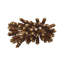 Royal Palm Napkin Ring