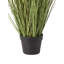 Arrangement in Pot