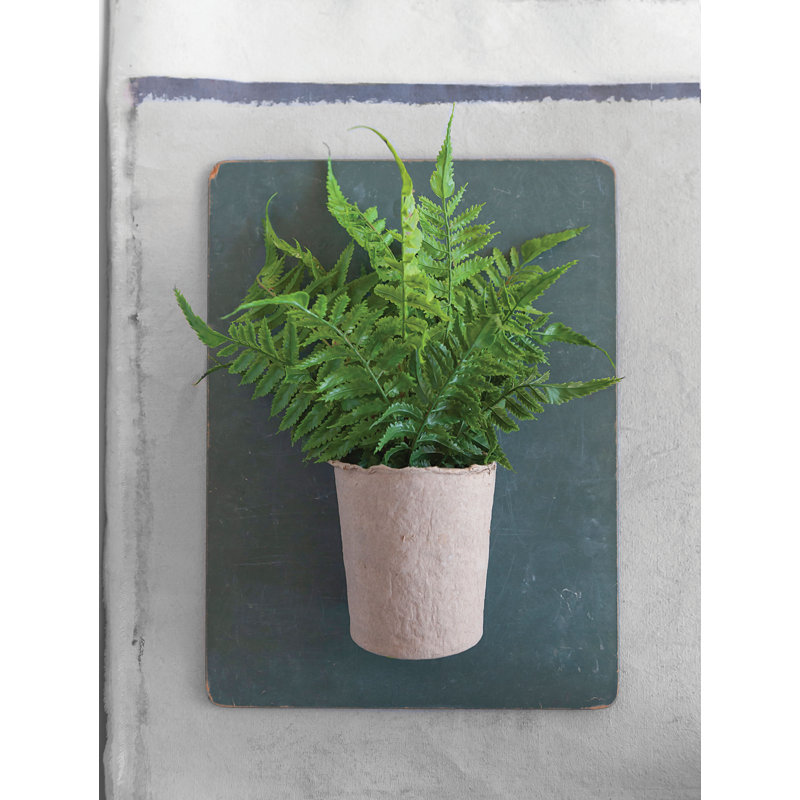 Fougère artificielle en pot en papier