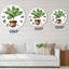 Ficus Lyre dans un pot de fleurs en argile - Horloge murale traditionnelle-60329261