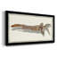 " Driftwood Study II "-430898926