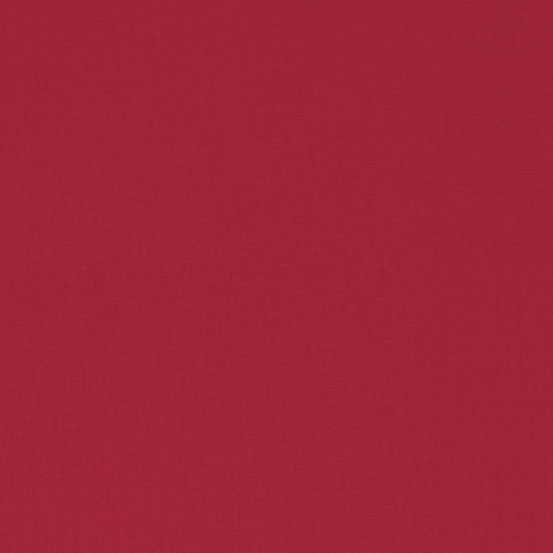 Panneau de rideau simple obscurcissant avec passe-tringle Carter, L 50 po x L 96 po, Rouge