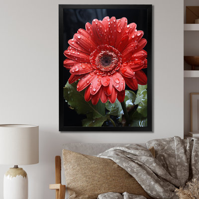 " Red Daisiy Flowers I "