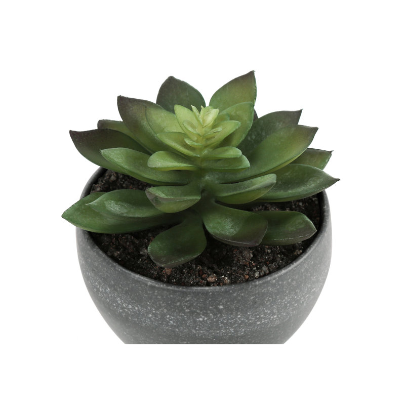 Plante artificielle, Gris