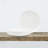 Noritake Marc Newson 10.75" Dinner Plates