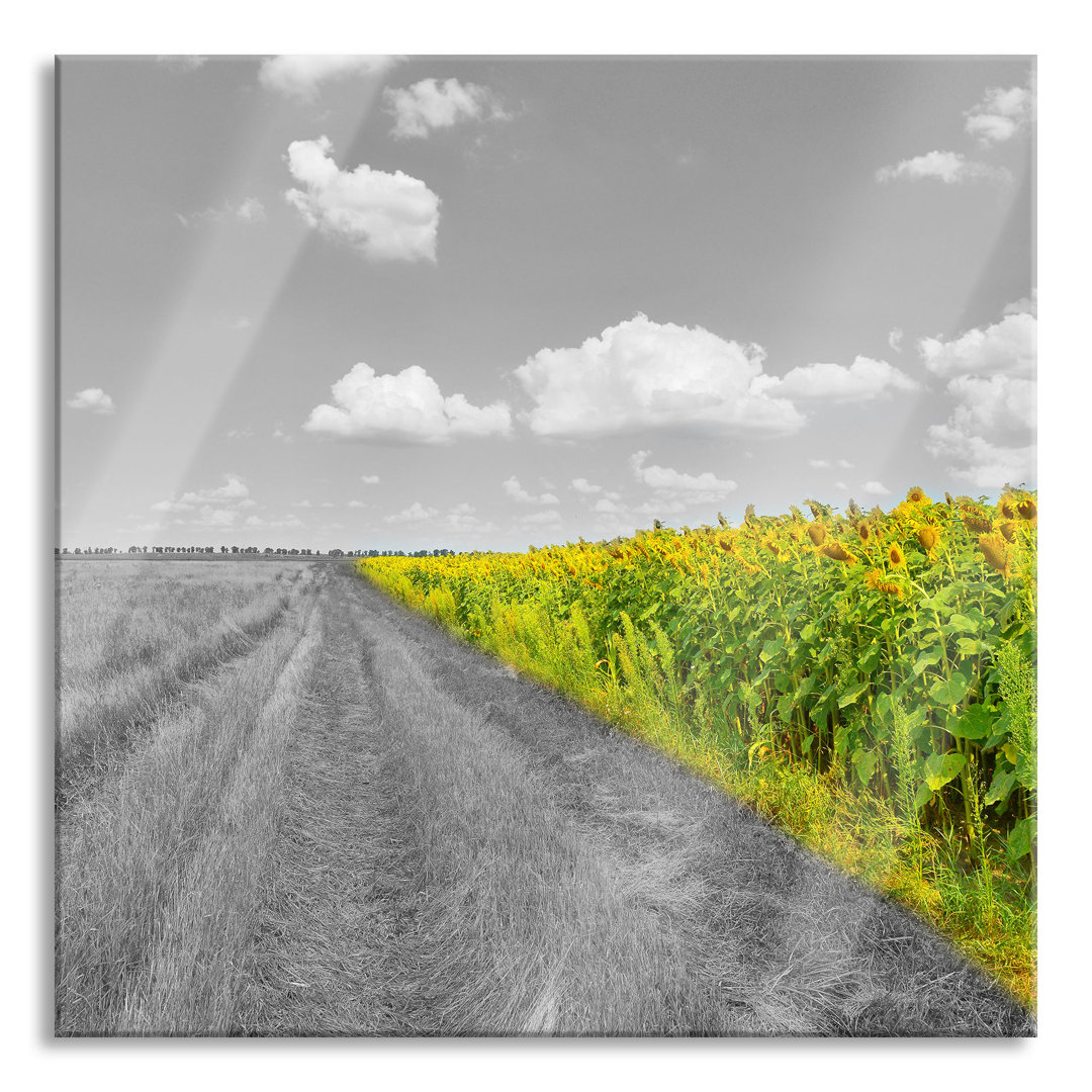 Glasbild Feldweg Sonnenblumen