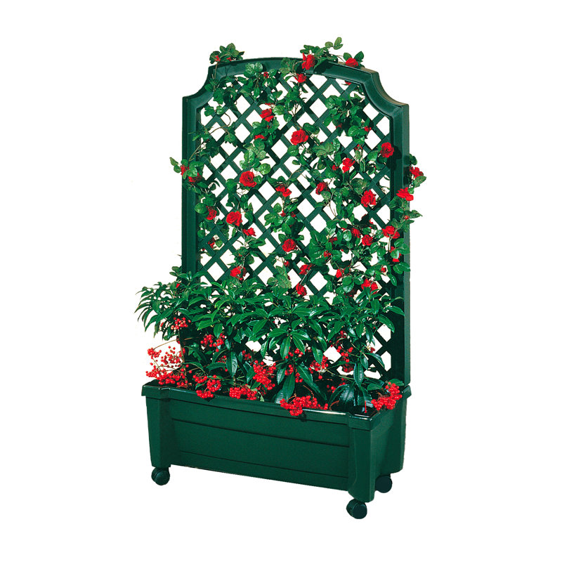 Brandun Planter Box with Trellis, Green