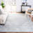 Oriental Light Gray/Ivory Area Rug-229481191