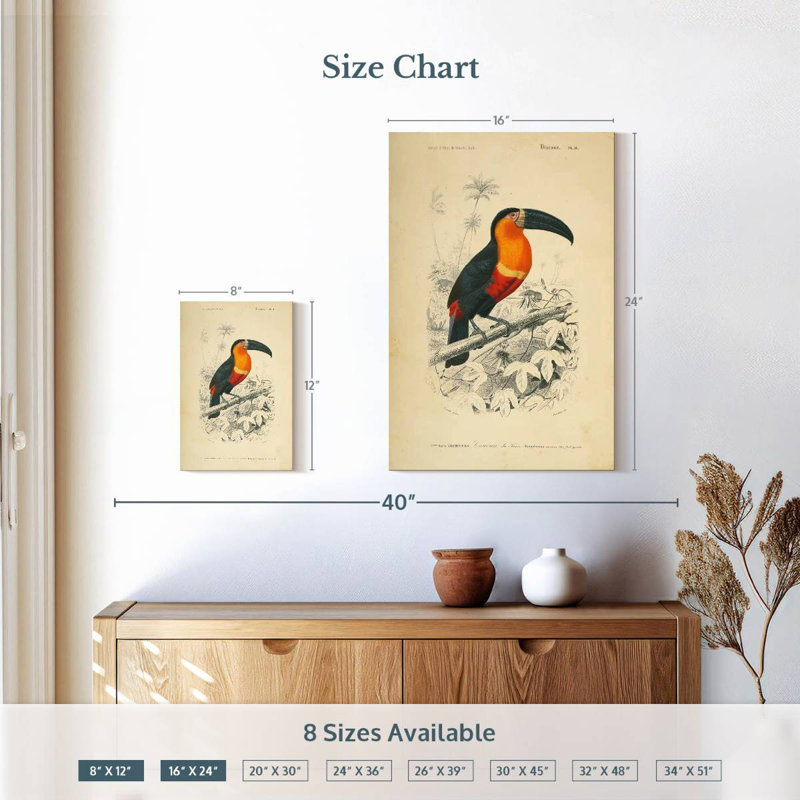 Brampton Toucan Du Para, H 12 po x l 8 po