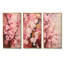 Cherry Blossoms Dark Pink Collage-8374591-8374590