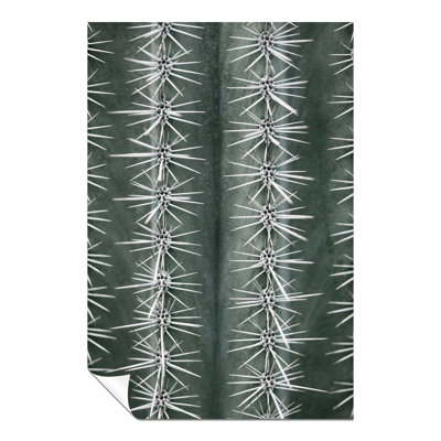 Green Cactus Close Up - No Frame Print