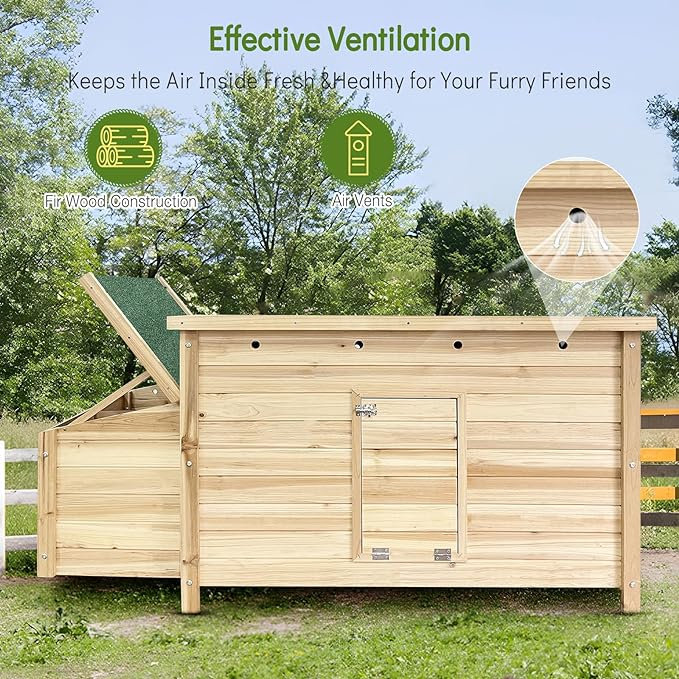 Cage à poules avec 2 poules et toit imperméable