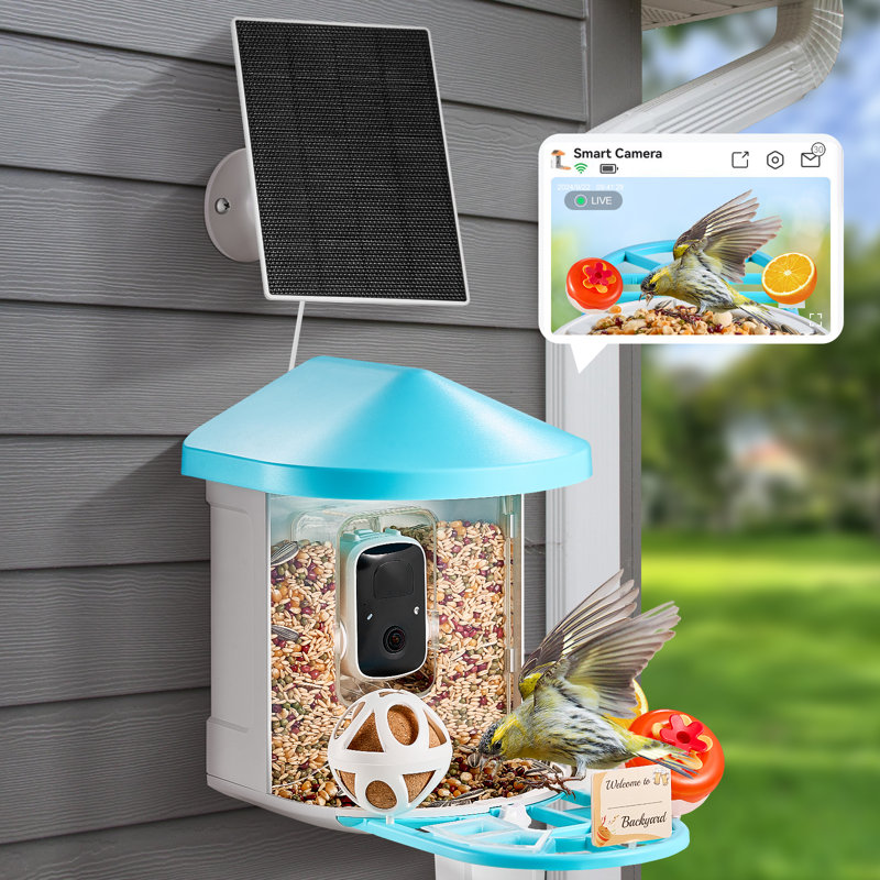 Smart Bird Feeder with Camera 2K HD AI Identify Bird Species Auto Capture, Blue