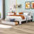 Aureliano Upholstered Platform Storage Bed-689658745