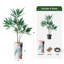 66 plantes-97701039